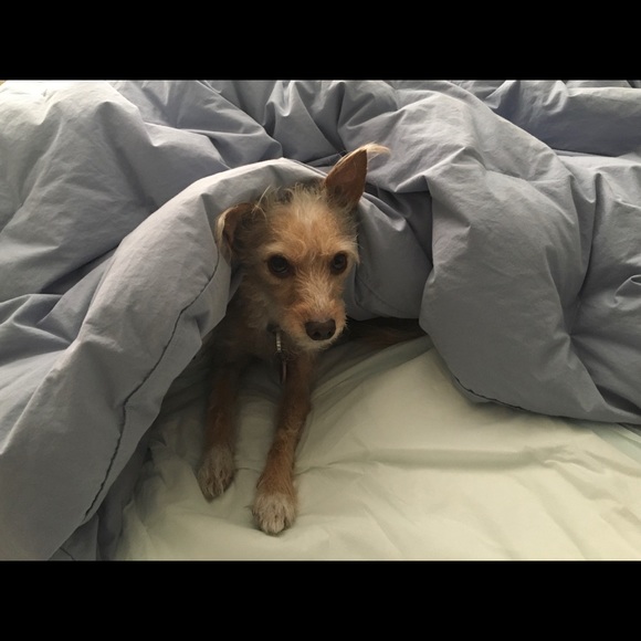 Other - Little Bossy Girl